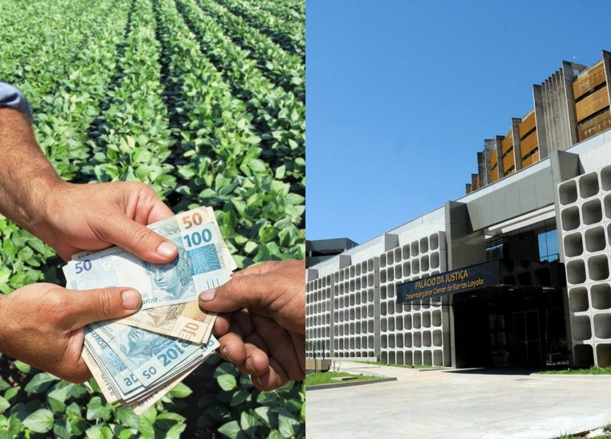 TJGO reconhece “operação mata-mata” como fraude e determina alongamento de dívida rural