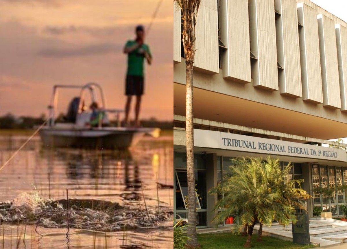 TRF1 mantém multa ambiental por pesca proibida sem advertência prévia