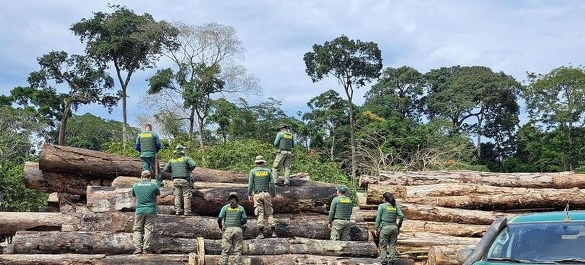 Ibama deflagra Operação GCDA contra desmatamento ilegal em Rondônia