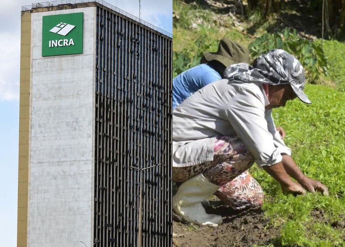 TRF1 julga procedente ação rescisória do INCRA e mantém desapropriação para reforma agrária 