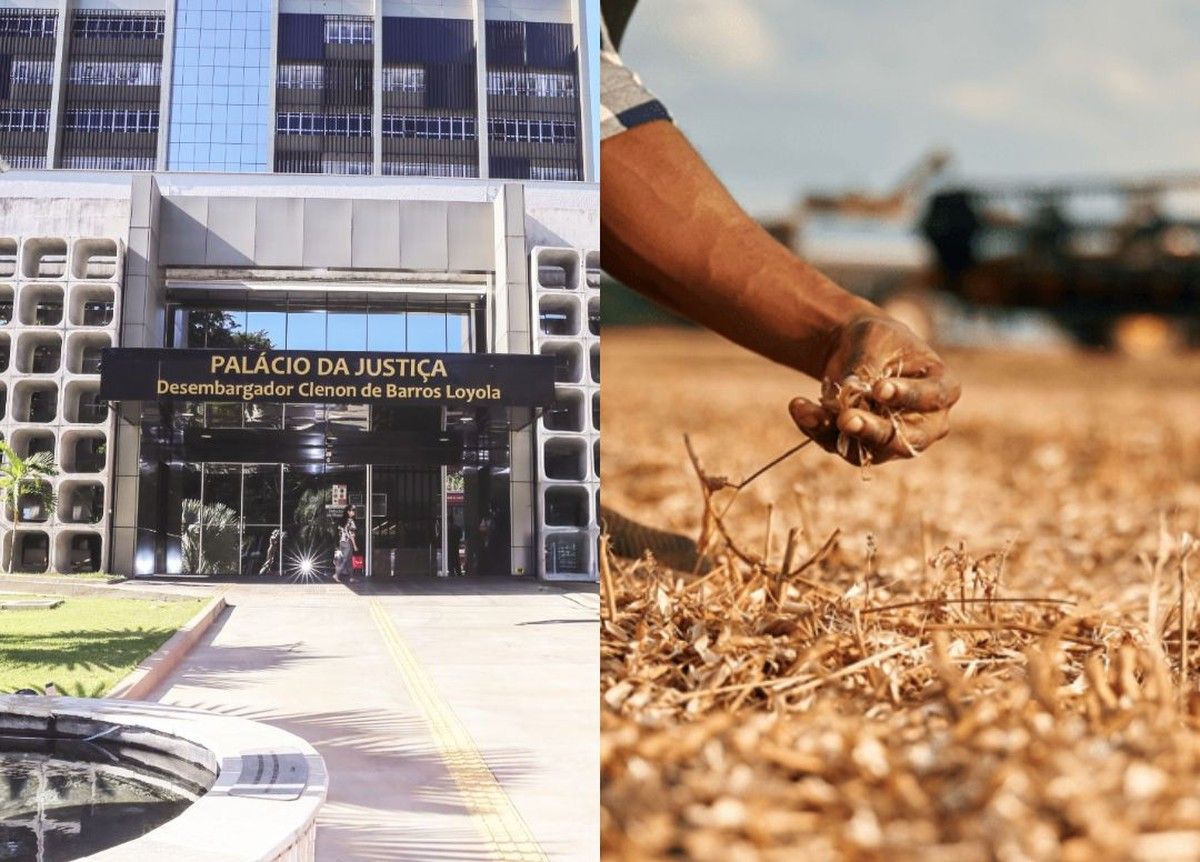 TJGO suspende exigibilidade de crédito rural por frustração de safra