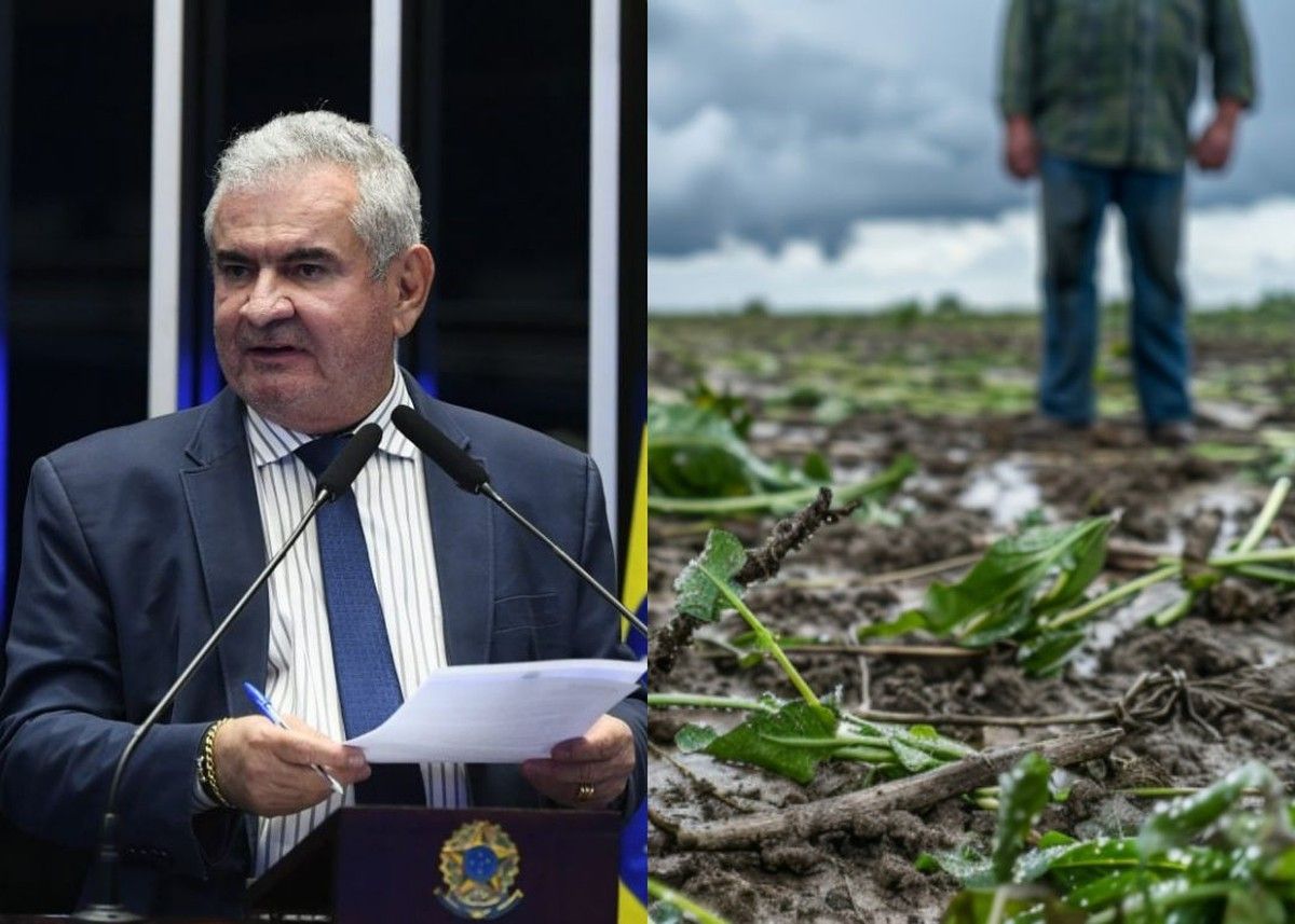 Senador Angelo Coronel propõe dois PLs sobre crédito rural 