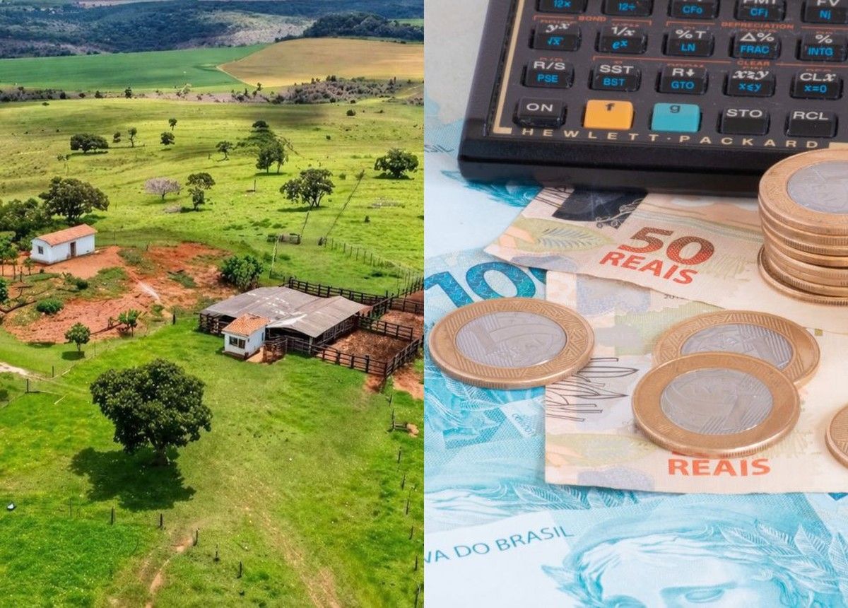 ITR de imóvel rural em GO cai 98% após revisão de ofício por laudo ambiental