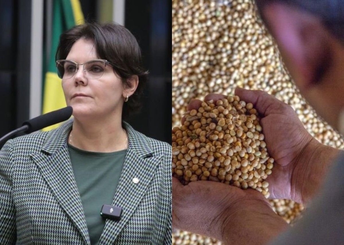 Câmara debaterá rastreabilidade de defensivos agrícolas e certificação de grãos
