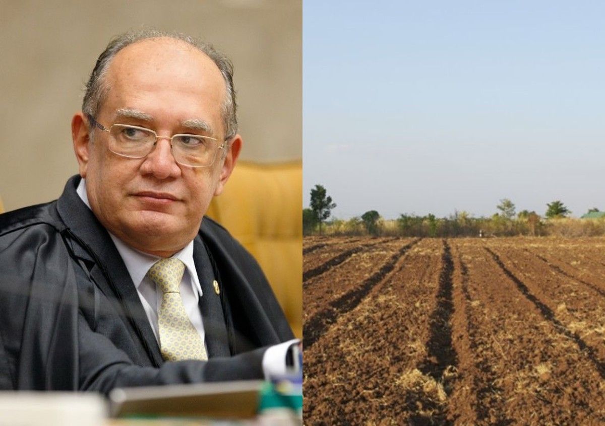 STF valida restrições à aquisição de imóveis rurais por empresas com capital estrangeiro 