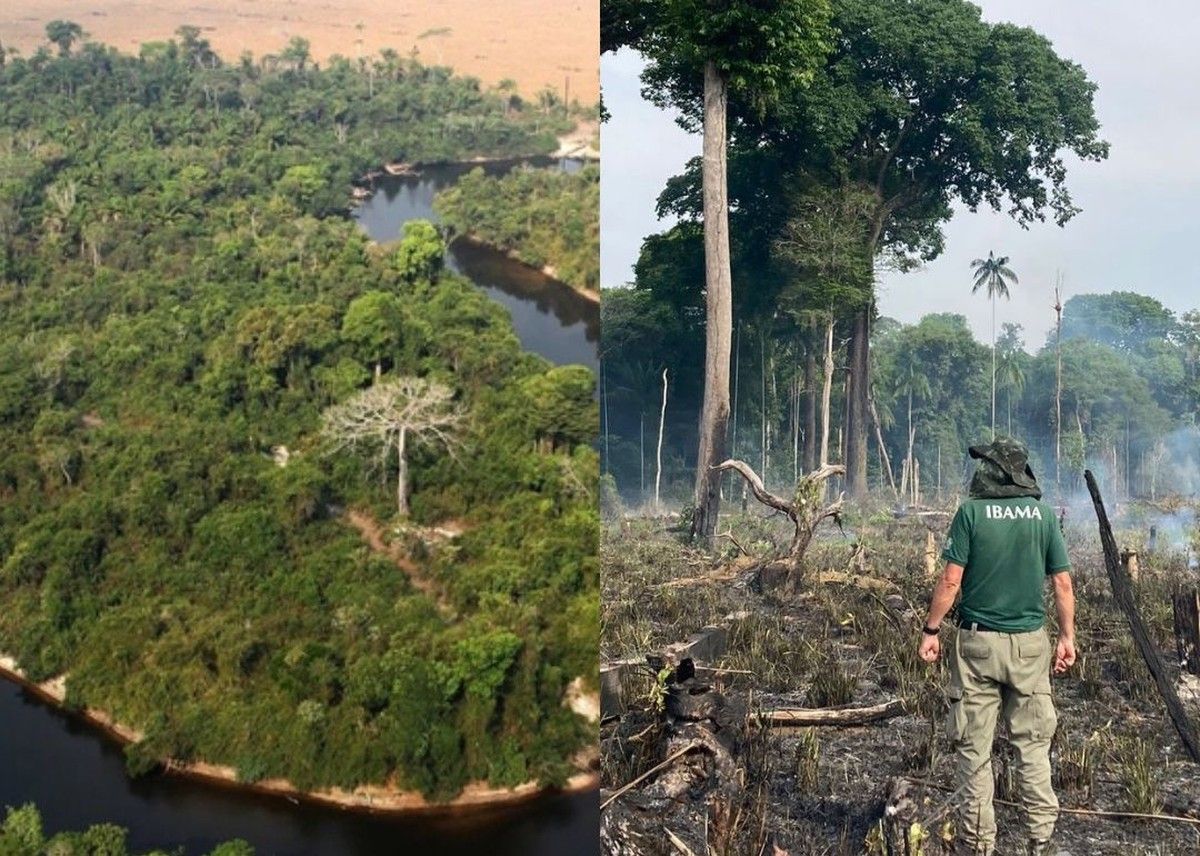 TRF1 mantém tutela de urgência contra desmatamento ilegal na Amazônia