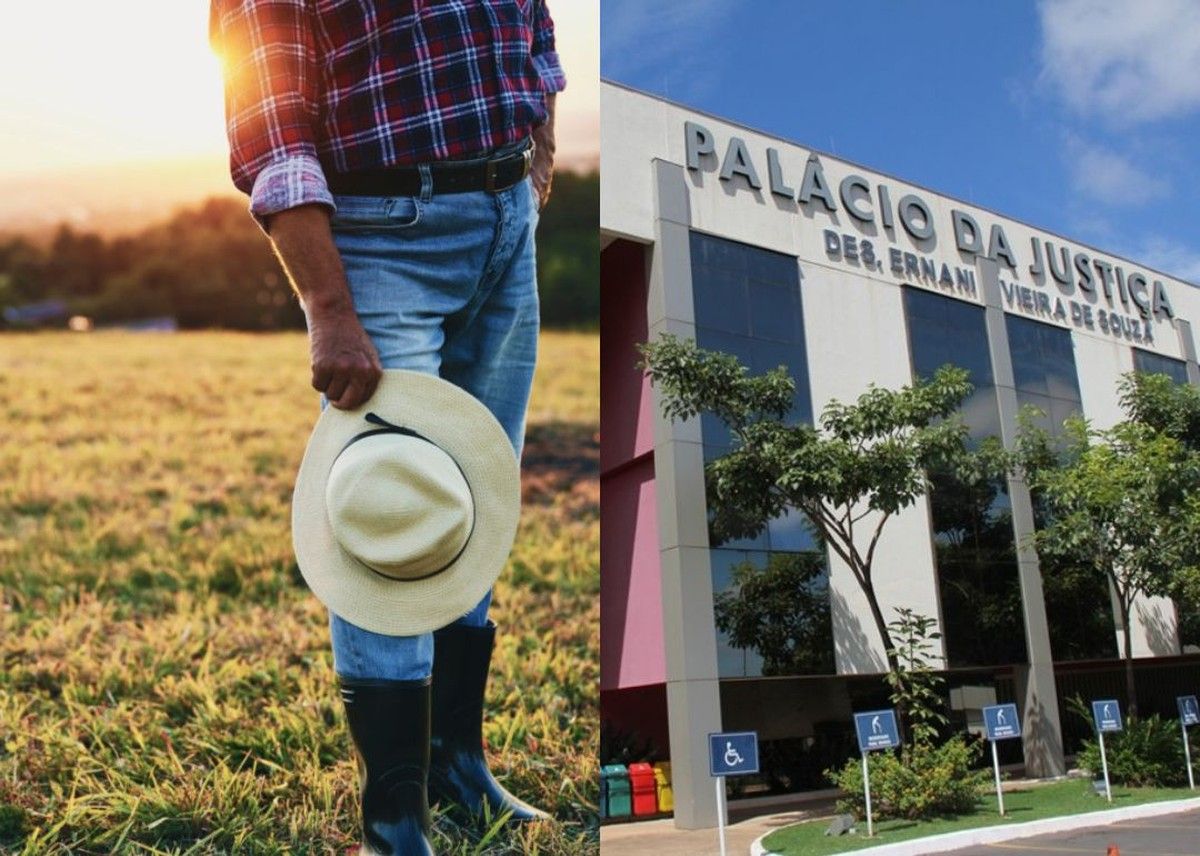 TJMT suspende falência de produtor rural e garante chance de reversão do caso 