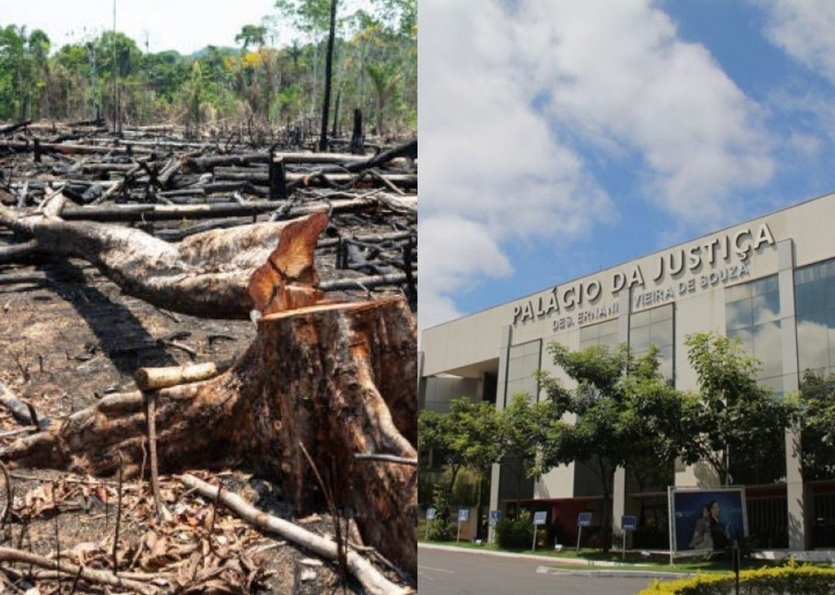 TJMT mantém multa ambiental de mais de R$ 6 milhões por desmatamento em parque estadual