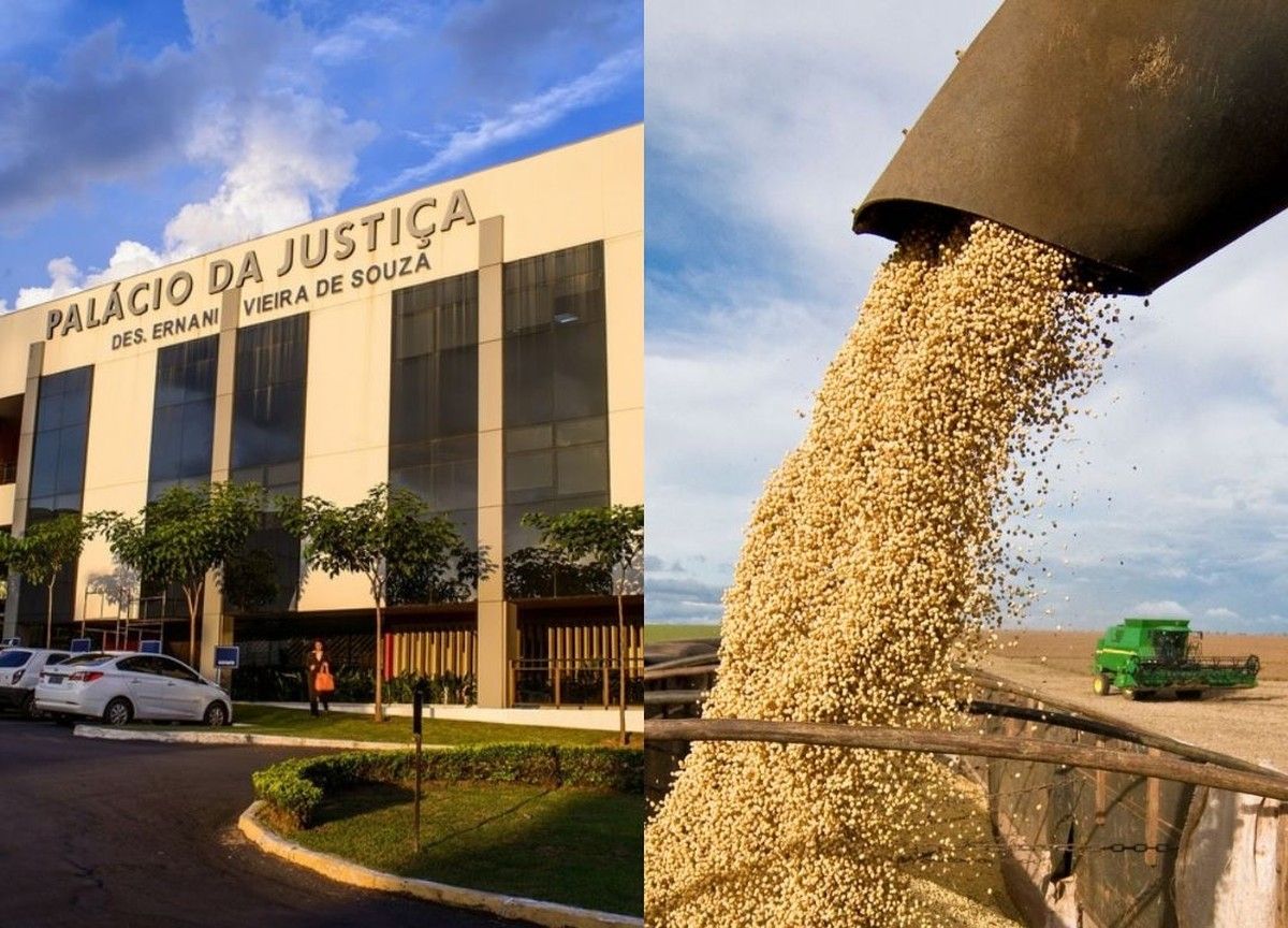 TJMT impede prorrogação de stay period em recuperação judicial de grupo agrícola do MT
