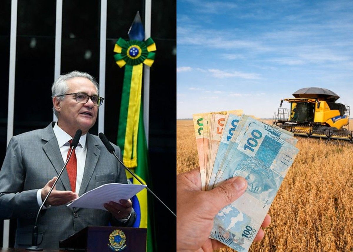 CAE vota PL 5.122/2023 sobre renegociação de dívidas rurais até 28 de abril