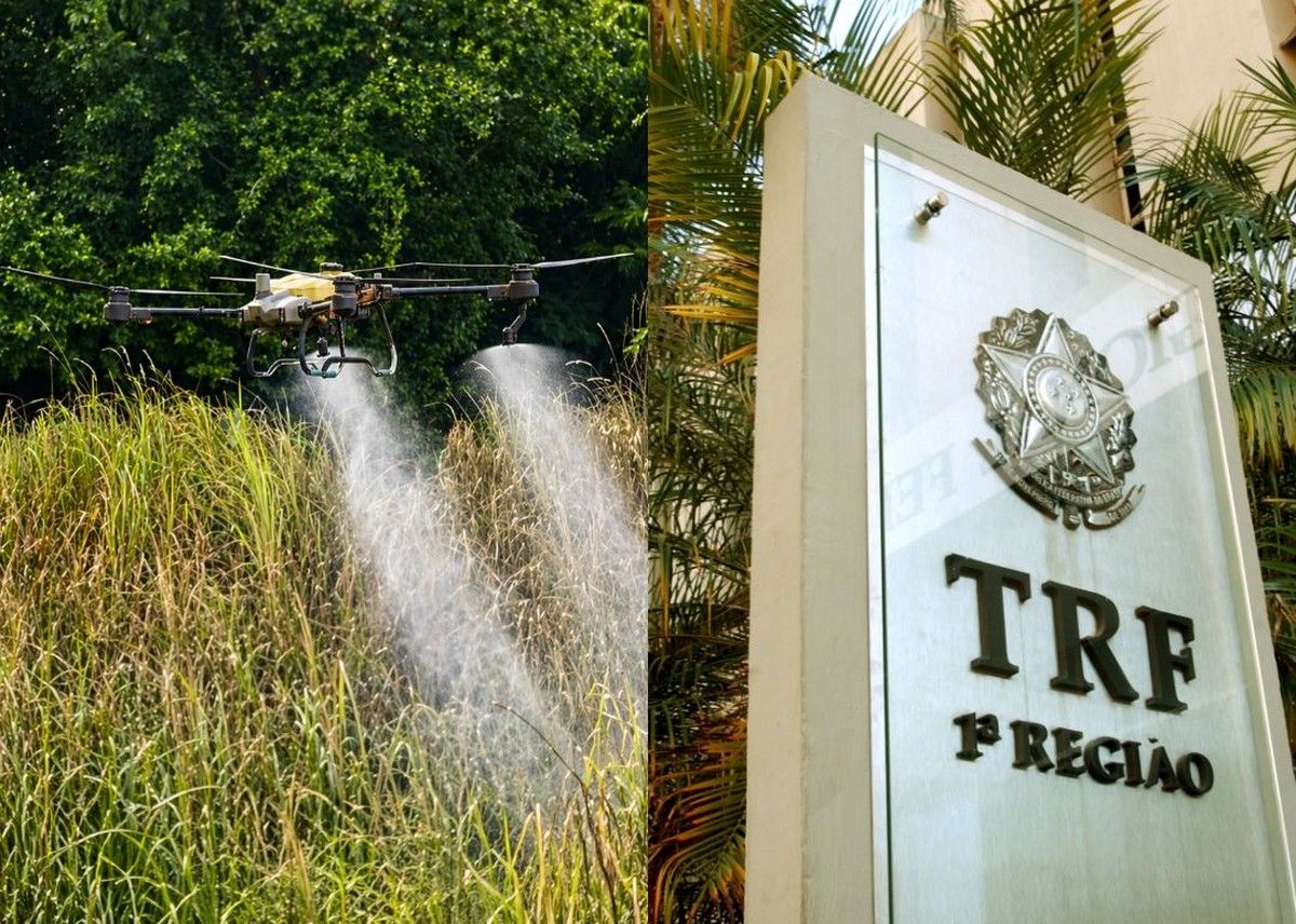 TRF1 mantém suspensão de pulverização aérea e reafirma inversão do ônus da prova em ação ambiental contra empresa agrícola</p><p>