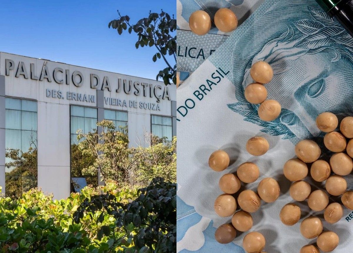 TJMT concede liminar a produtor rural e proíbe cobrança de royalties sobre soja