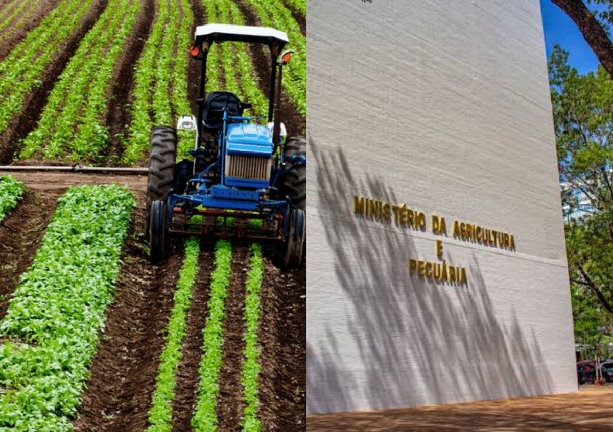 MAPA aponta queda no custeio e investimento rural no Plano Safra 2025/2026