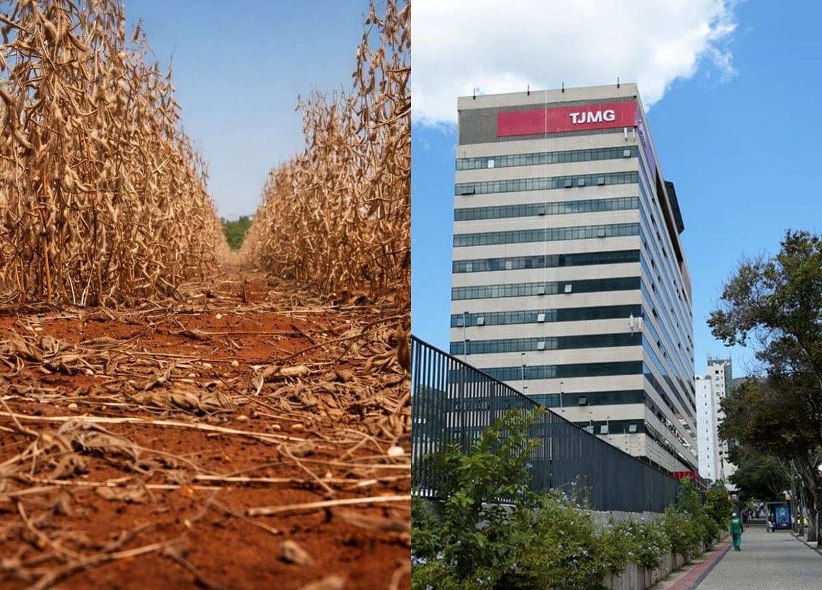 TJMG determina alongamento de dívida rural e veda negativação de produtores por estiagem