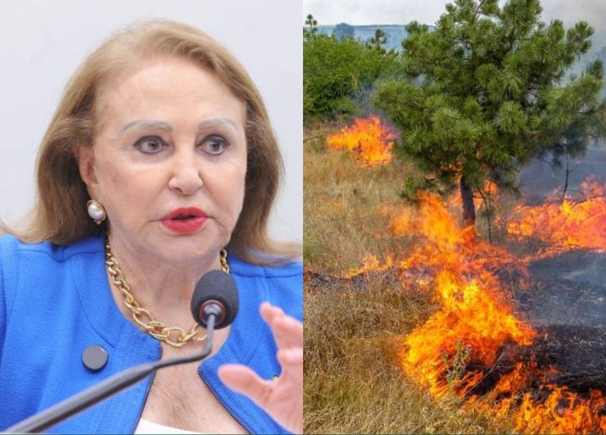 Comissão aprova pagamento a produtores que previnem incêndios rurais</p><p>