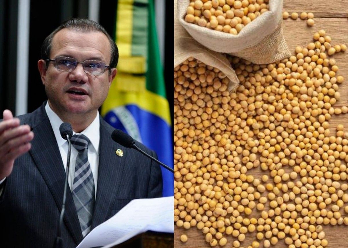Senado aprova audiência pública sobre moratória da soja 
