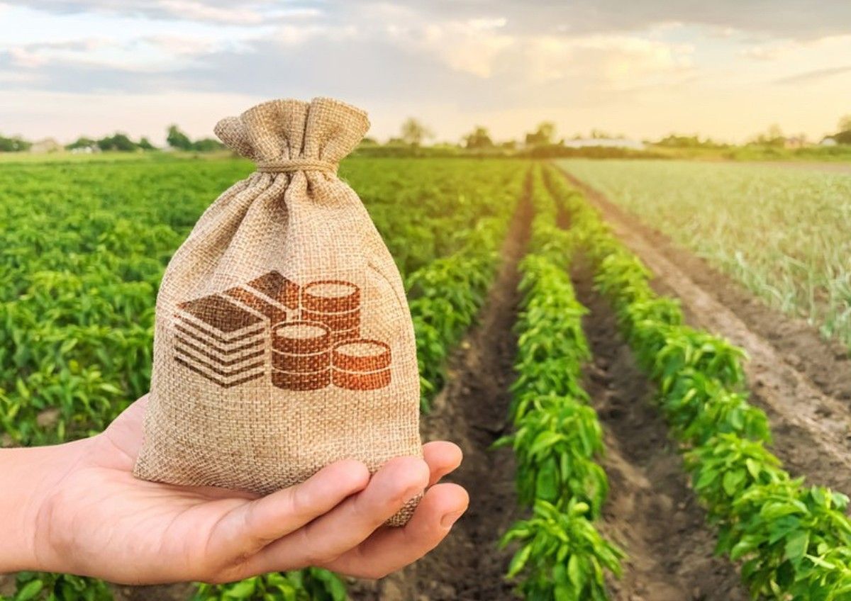 O alongamento das dívidas rurais e a tensão entre a matriz legal do crédito rural e a regulamentação infralegal do MCR