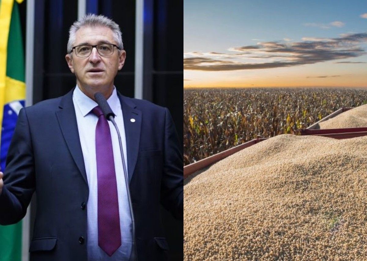 Câmara debate royalties de biotecnologia no cultivo de soja no Brasil
