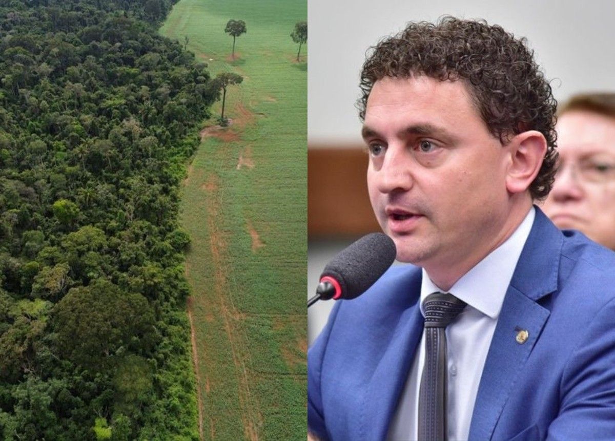 CAPADR aprova sustação de resolução do Conama que trava supressão de vegetação ao vincular autorizações ao CAR