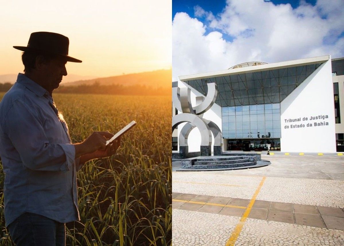 TJBA defere tutela para suspender negativação de produtor rural em ação de prorrogação de dívida rural