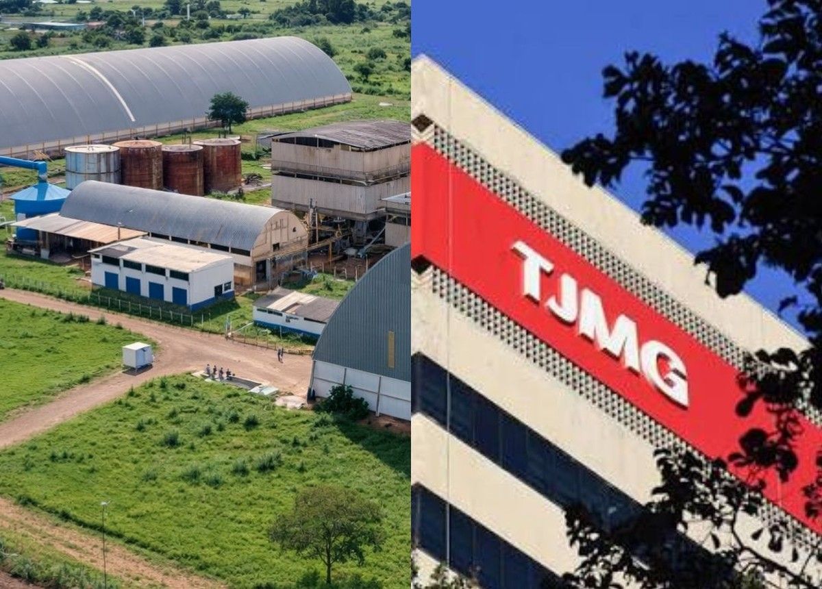 TJMG defere processamento de recuperação judicial do Grupo Aliança Agrícola 