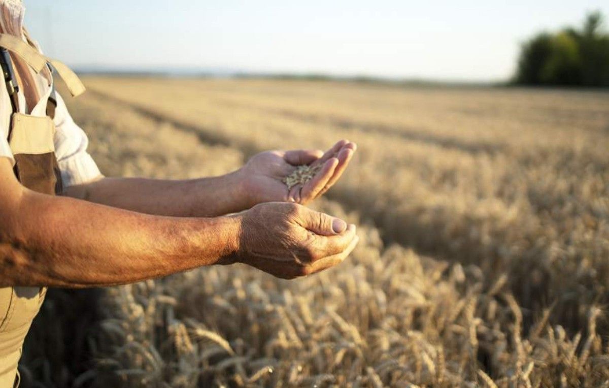 A preservação da empresa agrária por meio dos Contratos