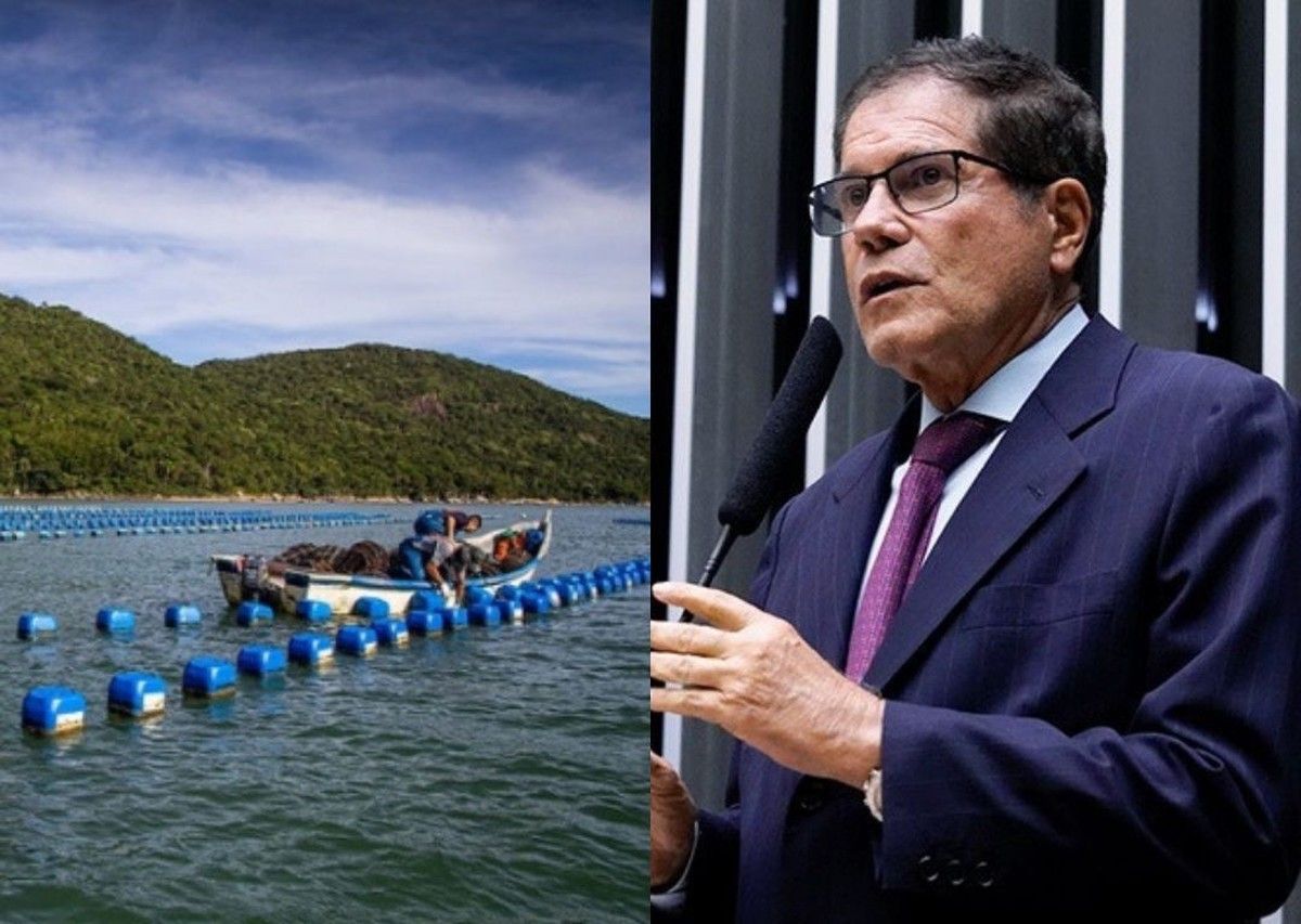 CNA destaca aprovação do PL nº 4.162/2024 que aumenta segurança jurídica à aquicultura
