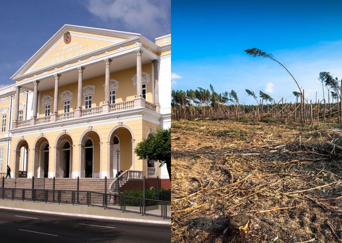 TJPA afasta tutela de urgência ambiental por ausência de vínculo com área degradada