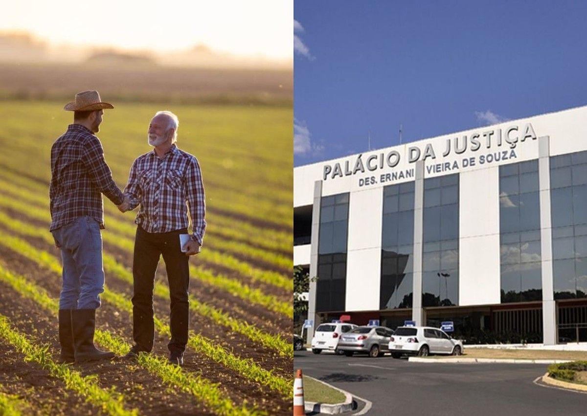 TJMT afasta responsabilidade ambiental de proprietário rural por infração praticada por posseiros</p><p>
