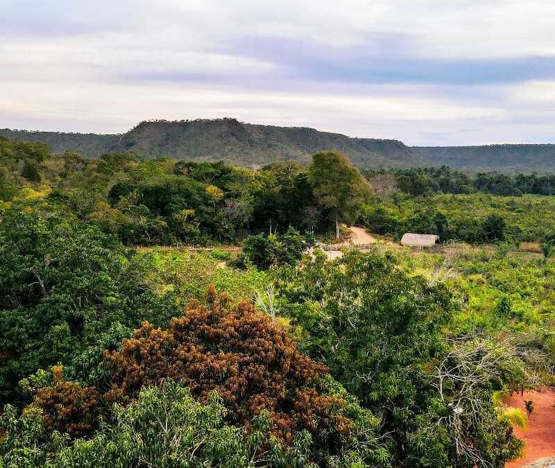 A Declaração de Inconstitucionalidade parcial do Zoneamento Ecológico-Econômico do Maranhão pelo STF e os seus impactos