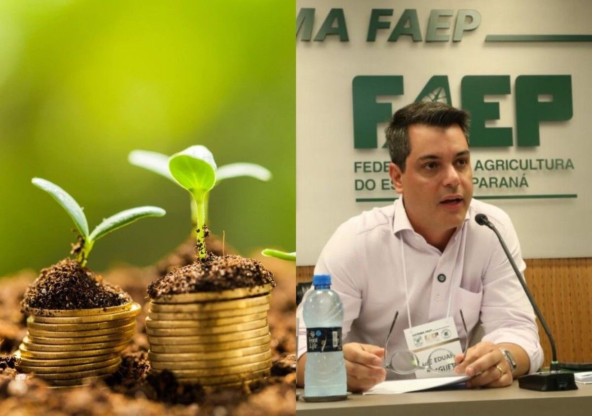 FAEP aponta limites do Desenrola Rural e cobra política agrícola estrutural