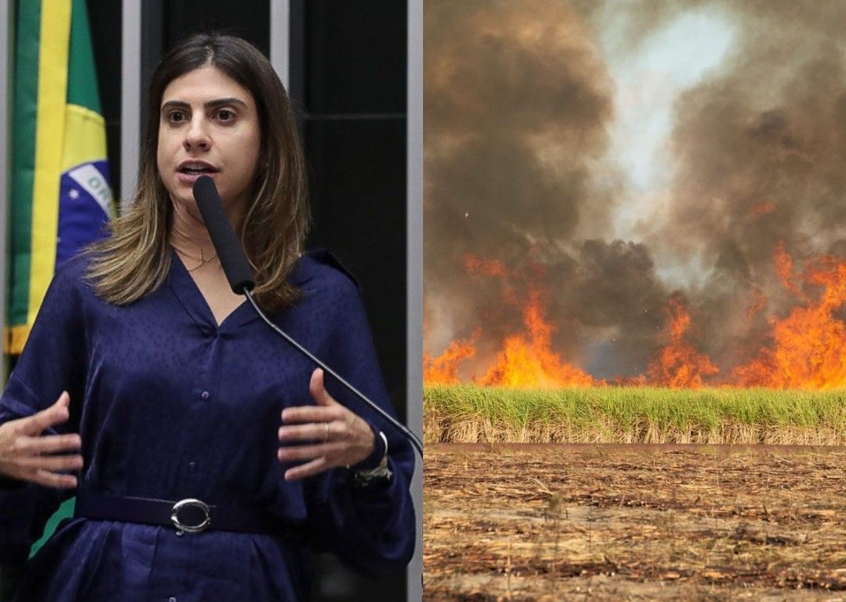 Câmara avança em isenção tributária para produtor rural que combater incêndios em sua propriedade