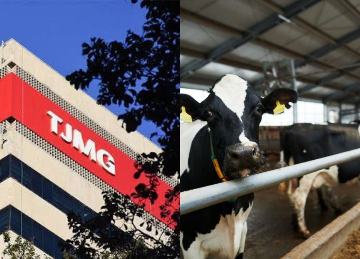 TJMG condena Cemig por interrupção de energia em propriedade leiteira em Patos de Minas