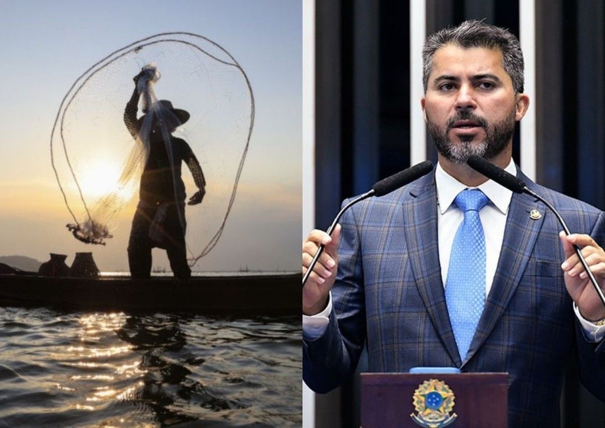 Senado aprova parecer favorável a novo marco regulatório da pesca e aquicultura