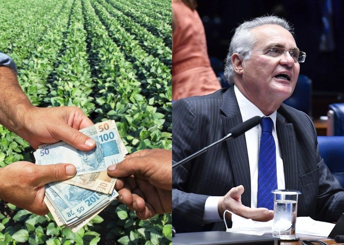 CAE aprova relatório ao PL 5.122/2023 sobre financiamento especial a produtores afetados por eventos climáticos 