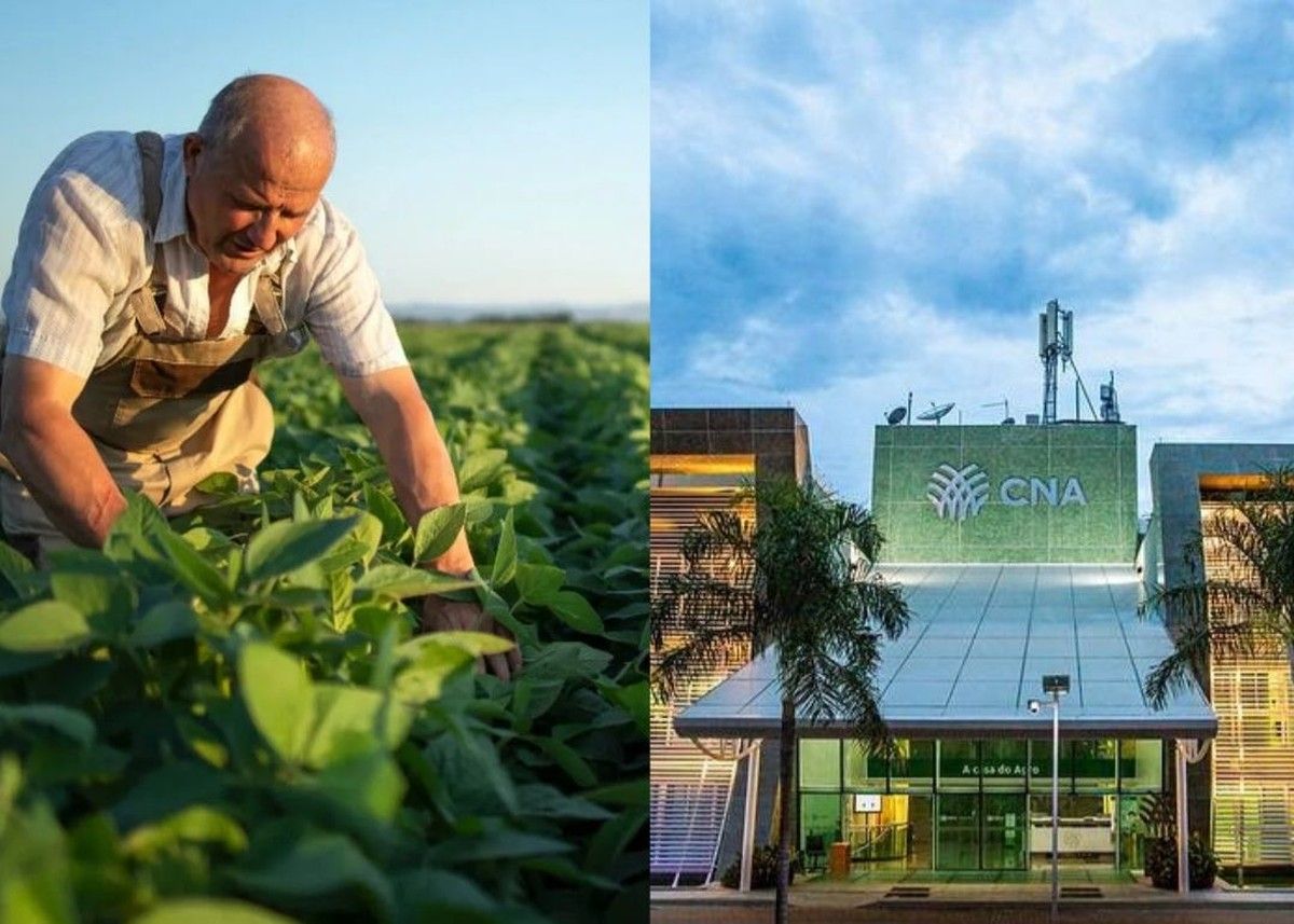 CNA orienta produtores rurais sobre impactos da Reforma Tributária do Consumo 