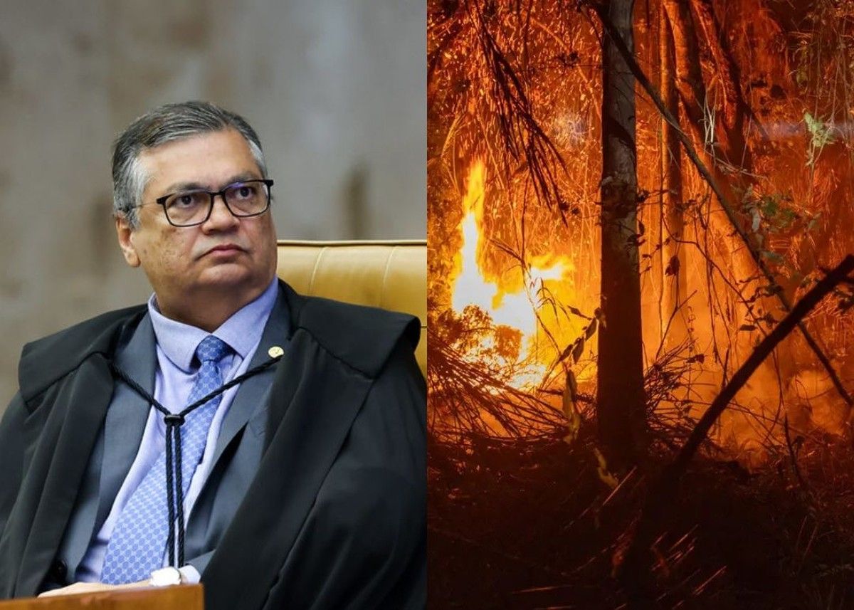 STF intima União e estados da Amazônia Legal a apresentar planos contra incêndios florestais