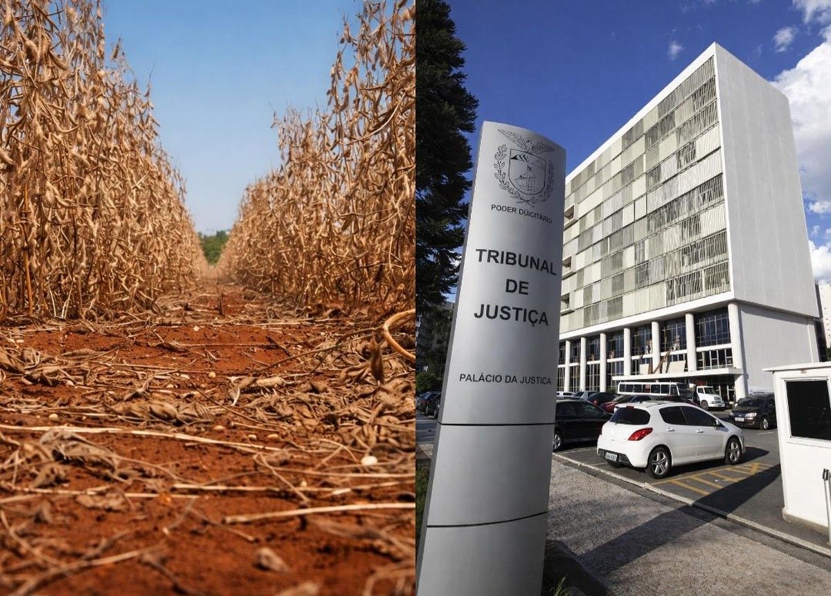 TJPR suspende cobranças de dívidas rurais por frustração de safra comprovada