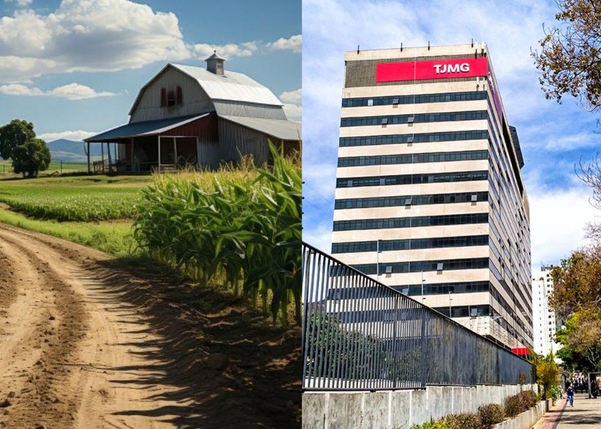 TJMG reconhece impenhorabilidade de pequena propriedade rural em execução de cooperativa