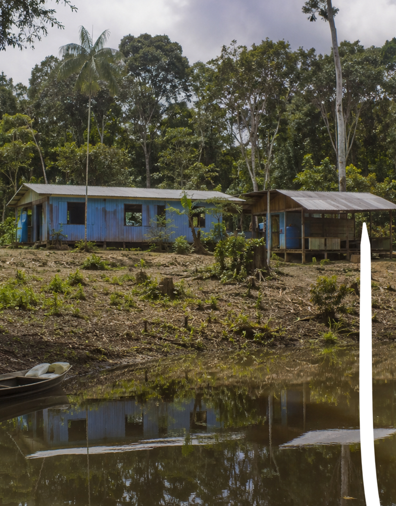 A invisibilidade fundiária proposital na Amazônia Legal: como reivindicar terras centenárias onde o Incra já assentou famílias sem desapropriação nem indenização