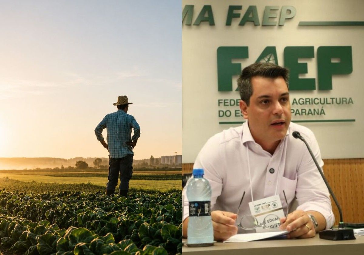 Sistema FAEP alerta para queda de 68% nas apólices de seguro rural no Paraná