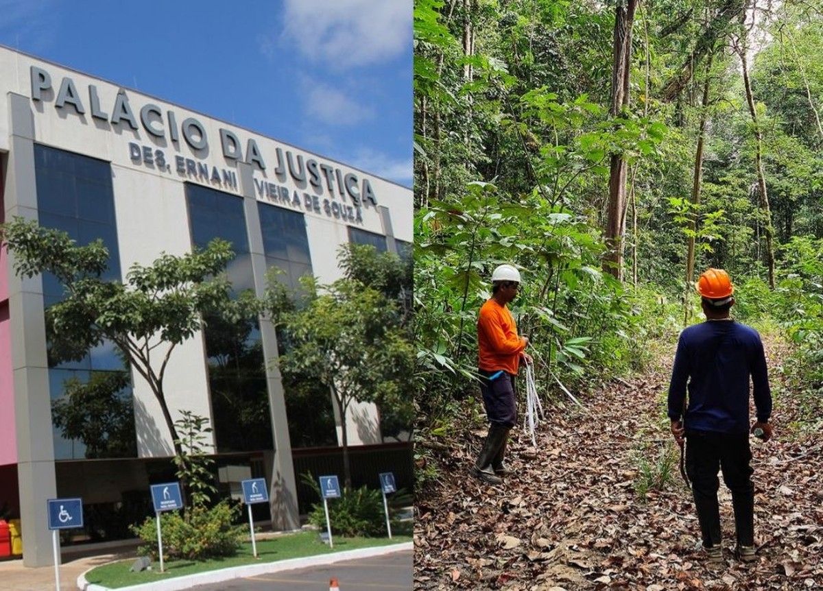 TJMT condena engenheiro florestal por fraude em plano de manejo florestal