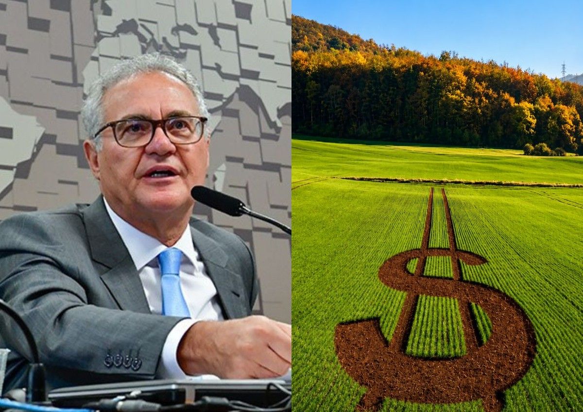 CAE vota PL 5.122/2023 de financiamento para produtores rurais nesta quarta-feira 