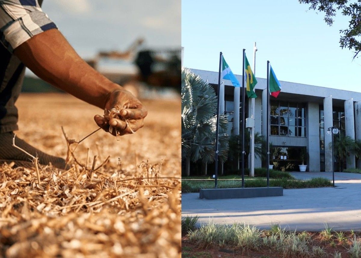 TJMS mantém indenização securitária a produtor rural após recusa de cobertura por estiagem