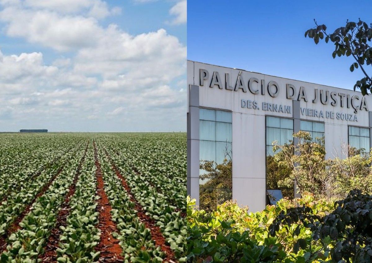 TJMT defere processamento de recuperação judicial de grupo do agro com dívidas de quase R$ 22 milhões 