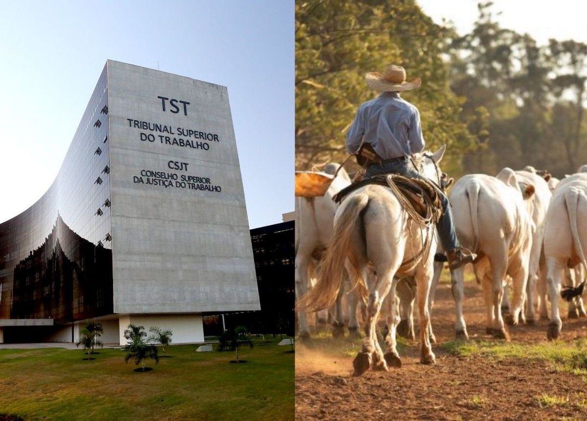 TST reconhece manejo de gado como atividade de risco e condena empregador rural
