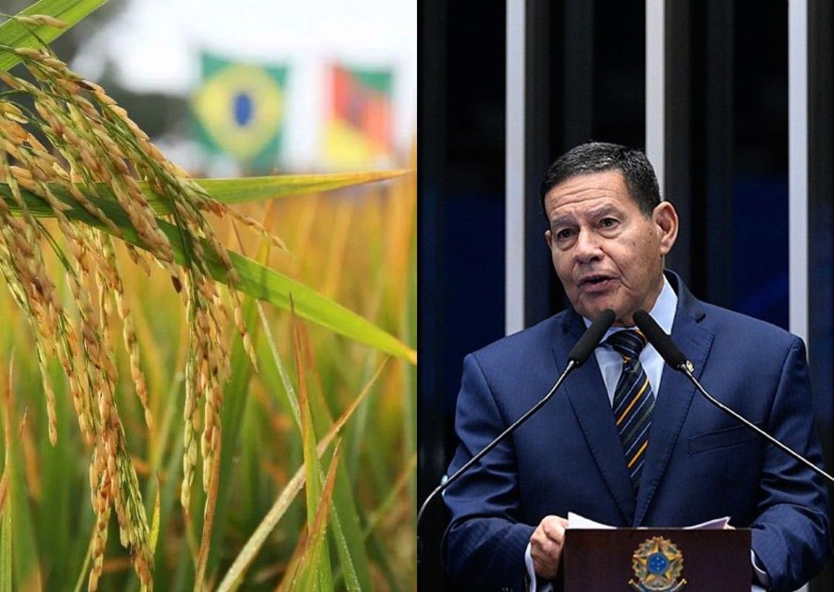 Senador Hamilton Mourão alerta Senado sobre crise do agro gaúcho e critica Desenrola</p><p>