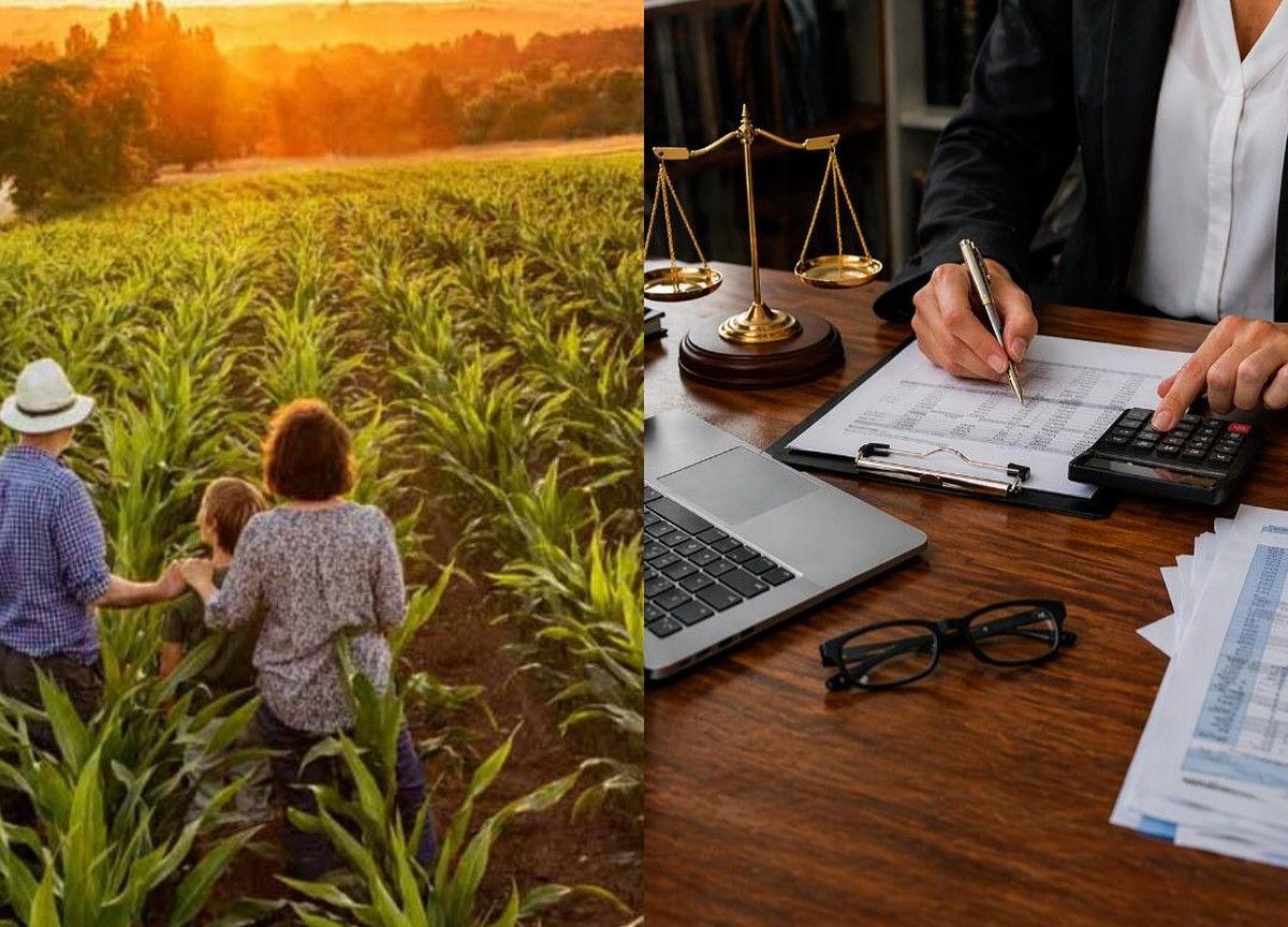 Juíza anula alienação fiduciária firmada por agricultora analfabeta