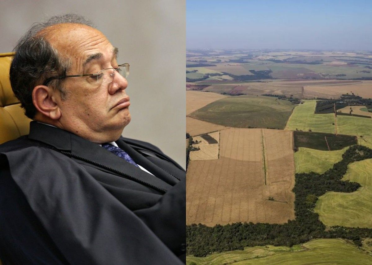 Ministro Gilmar Mendes pede vista em ação sobre venda de terras devolutas em São Paulo​​​​​​​​​​​​​​​​