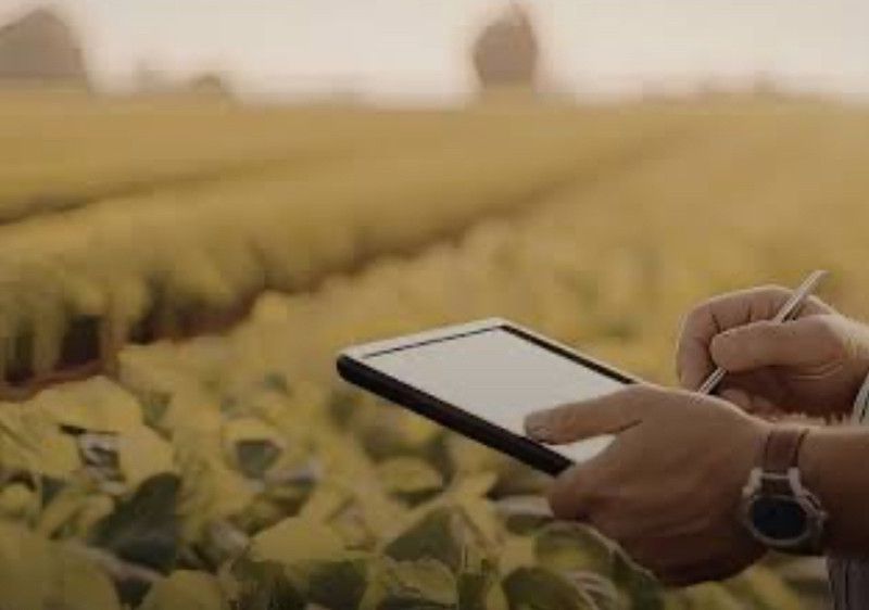 A elaboração de bons laudos agronômicos e seus</p><p>impactos nas decisões judiciais